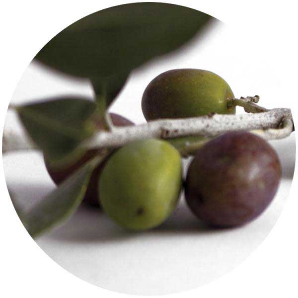 Tapones para aceite y vinagre