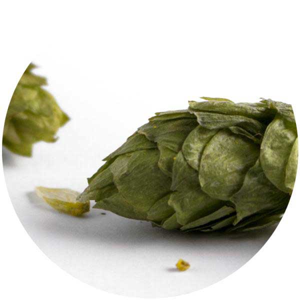 Tapones para cerveza e Frizzante